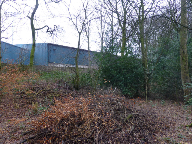 Rear of the Manchester Road End